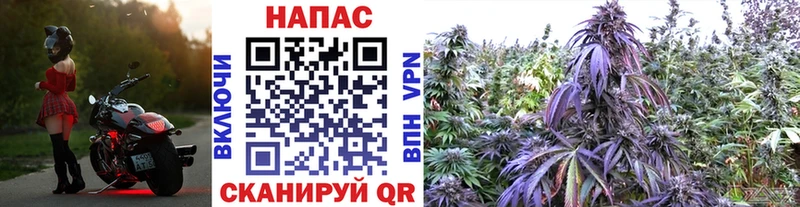Купить COCAIN  АМФ  APVP  Канабис  Мефедрон  Мглин