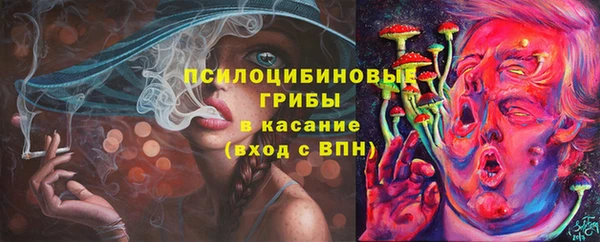спиды Костерёво