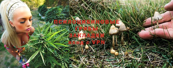 спиды Костерёво