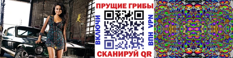 Купить  Мглин  Псилоцибиновые грибы прущие грибы 