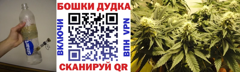 Купить  Мглин  Шишки марихуана SATIVA & INDICA 